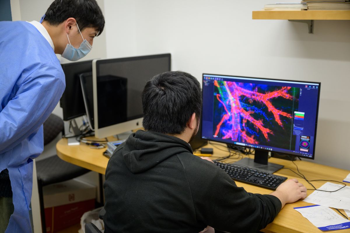 3D reproduction of mouse lung on computer screen being reviewed