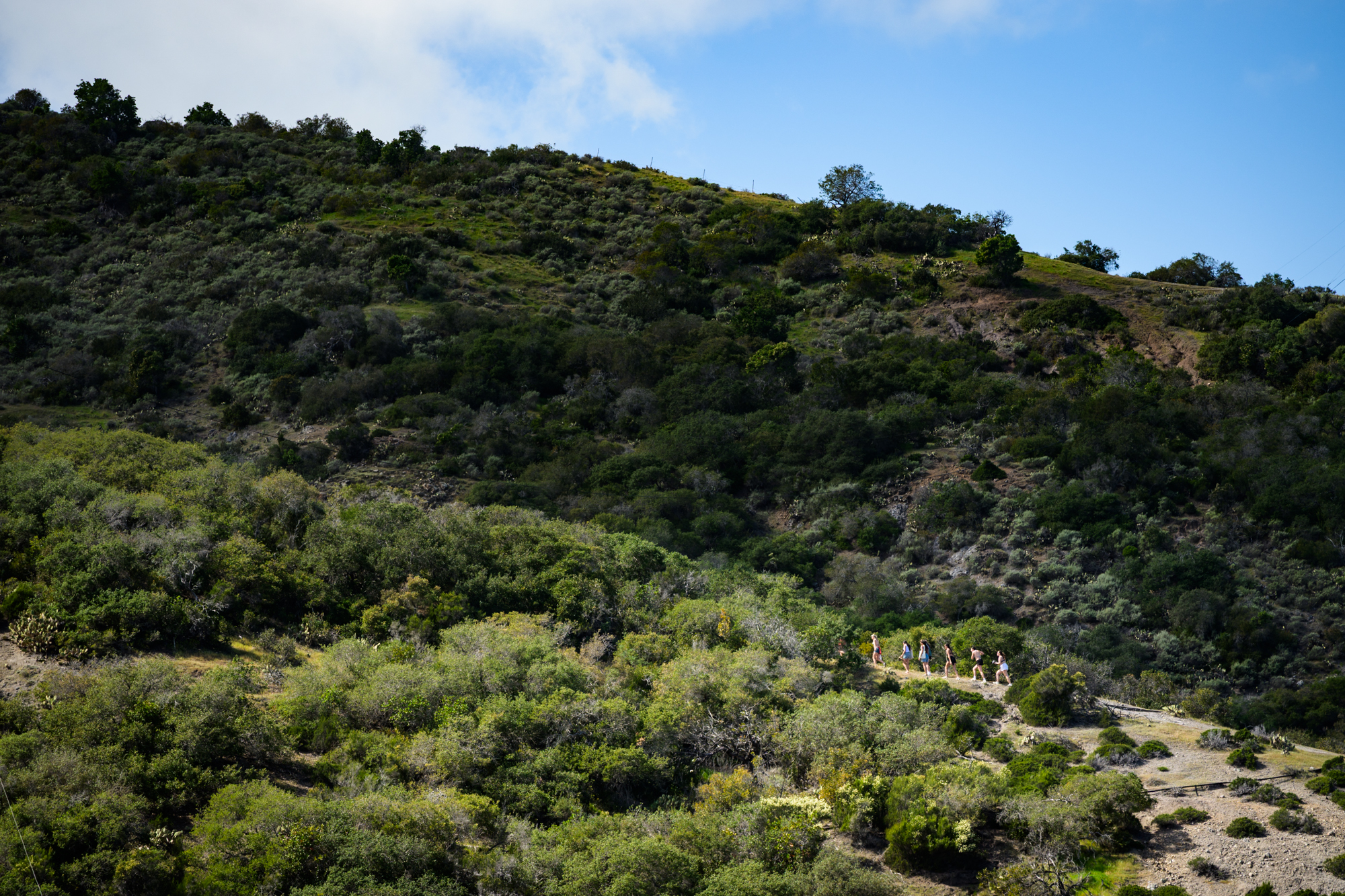 7 women hike up the mountain in the distance.