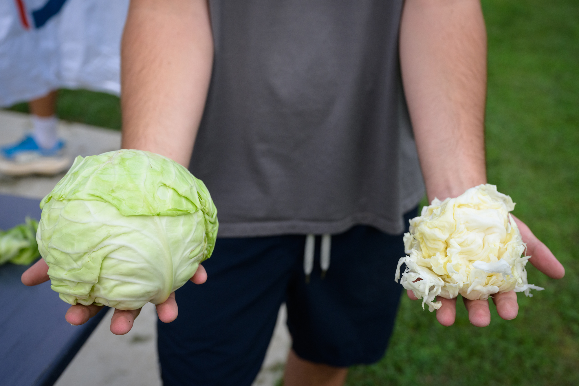 student holds out hands with an unused cabbage in one and one that has just been through Ultimate, it's small in comparison. 