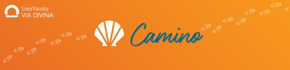 Digital Camino Logo