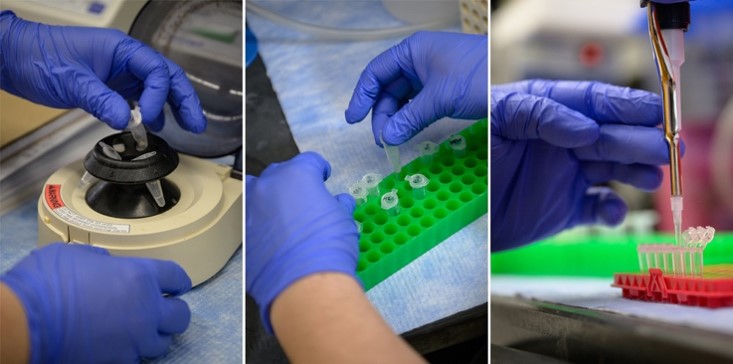 lab samples being reviewed