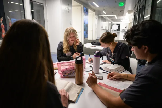 group of nursing students studying