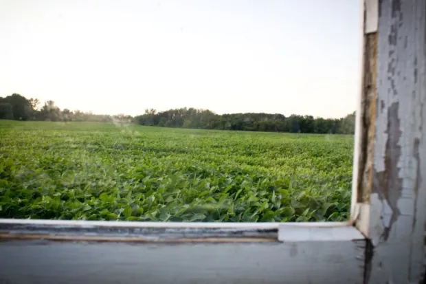 a green field viewed through an old and weather-beaten window frame