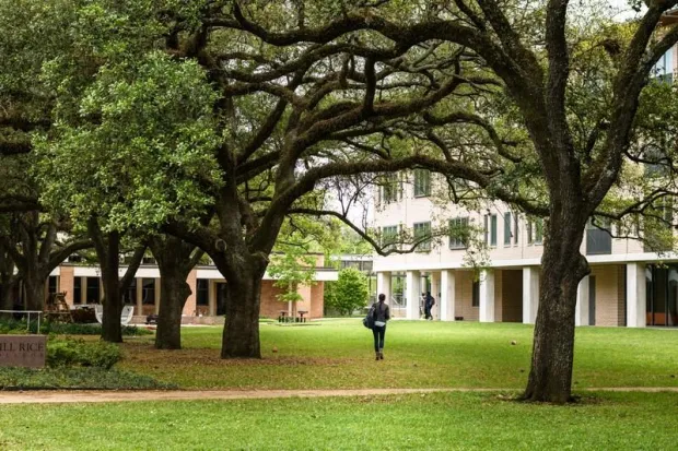 Student walking across tree-shaded stretch of campus