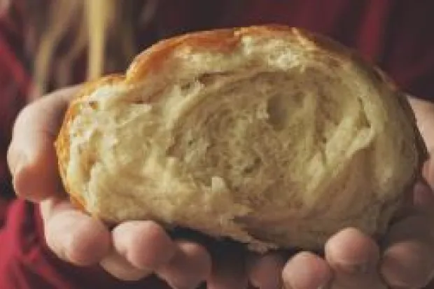 Person holding fresh loaf of bread