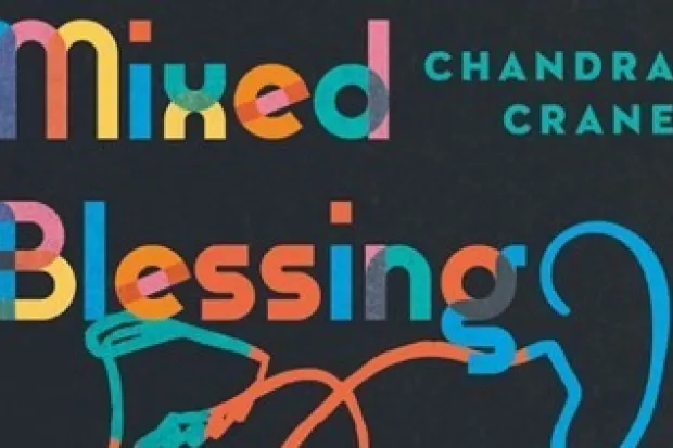 Mixed Blessing Book Cover Image