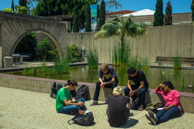 Students gathered in circle on campus, praying together