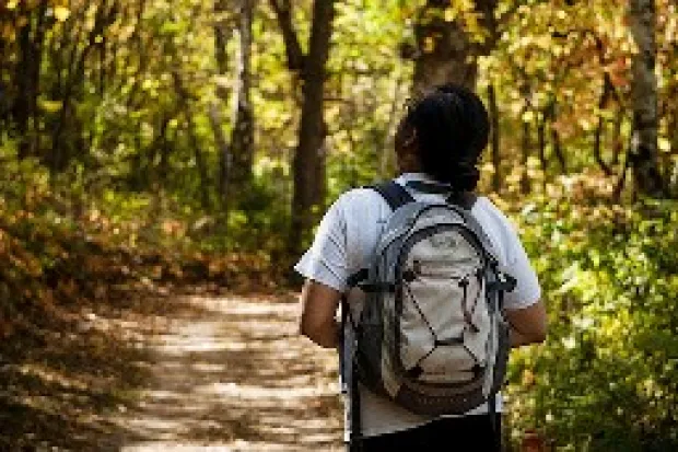 Person hiking along wooded path