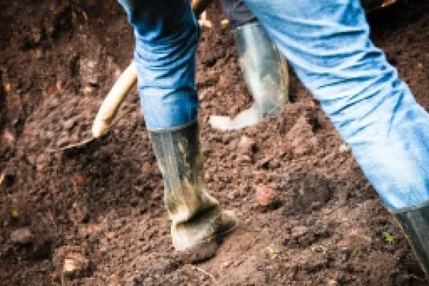 a person using a shovel to dig into dirt