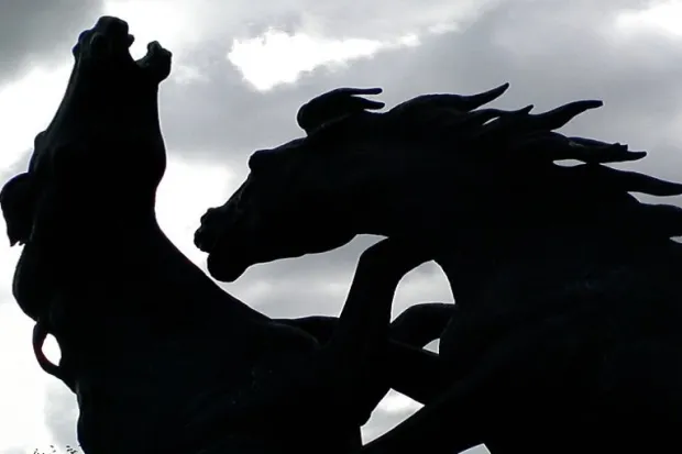 Silhouette of two horses fighting each other against cloudy sky