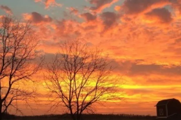 Sunset full of orange and pink clouds with silhouettes of trees and a barn