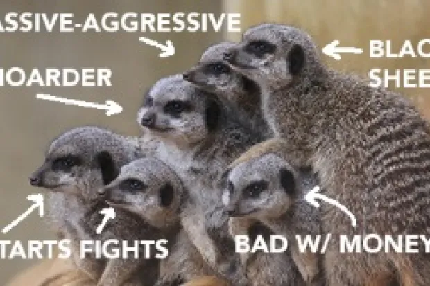 Group of meerkats with labels: Passive-aggressive, black sheep, bad w/ money, starts fights, hoarder