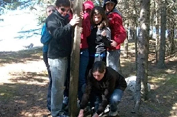 Group of people in jackets huddled around tree standing on small wooden platform. 