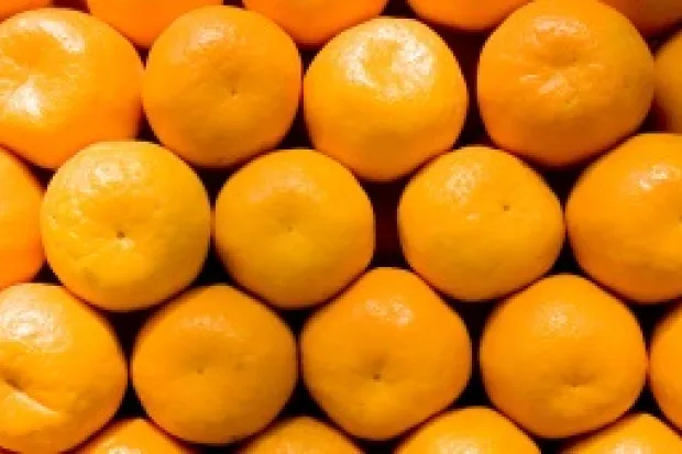 Row of oranges