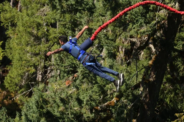 Man bungie jumping over forest