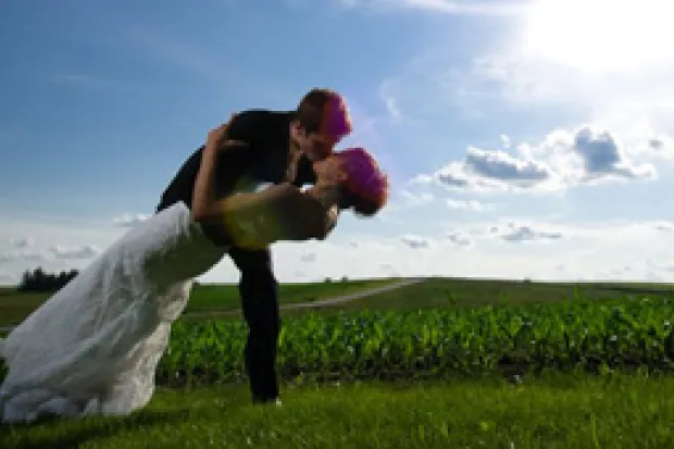 Bride and groom kissing in front of cornfield