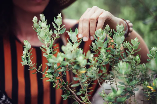 A woman touching green plants