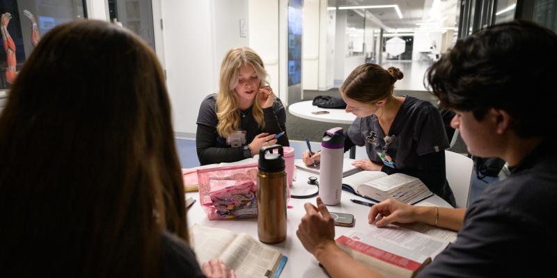group of nursing students studying