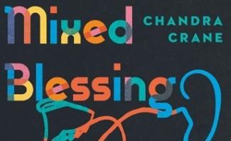 Mixed Blessing Book Cover Image