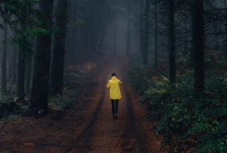 a person in a yellow raincoat walking through a wooded area at dusk