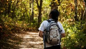 Person hiking along wooded path