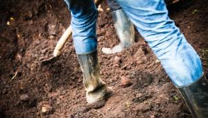 a person using a shovel to dig into dirt