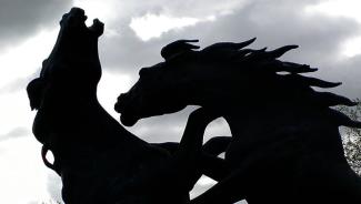 Silhouette of two horses fighting each other against cloudy sky