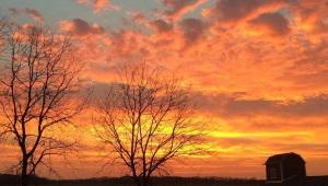 Sunset full of orange and pink clouds with silhouettes of trees and a barn
