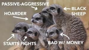 Group of meerkats with labels: Passive-aggressive, black sheep, bad w/ money, starts fights, hoarder