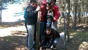 Group of people in jackets huddled around tree standing on small wooden platform. 