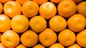 Row of oranges