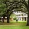 Student walking across tree-shaded stretch of campus