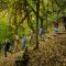 students hiking through the forest