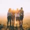 Four friends standing arm in arm and facing a sunset