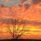 Sunset full of orange and pink clouds with silhouettes of trees and a barn