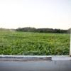 a green field viewed through an old and weather-beaten window frame