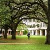 Student walking across tree-shaded stretch of campus