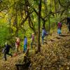students hiking through the forest