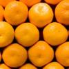 Row of oranges