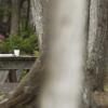 Man sitting at picnic table in park reading